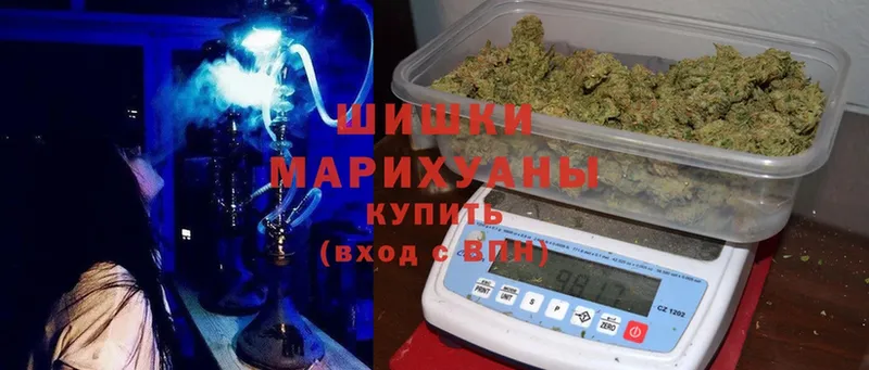 блэк спрут как войти  продажа наркотиков  Пушкино  Марихуана Amnesia 